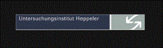 Unternehmens-Logo von Untersuchungsinstitut Heppeler