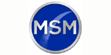 Unternehmens-Logo von MSM Germany GmbH